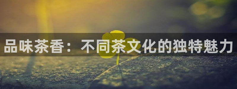 摩登平台除7O777