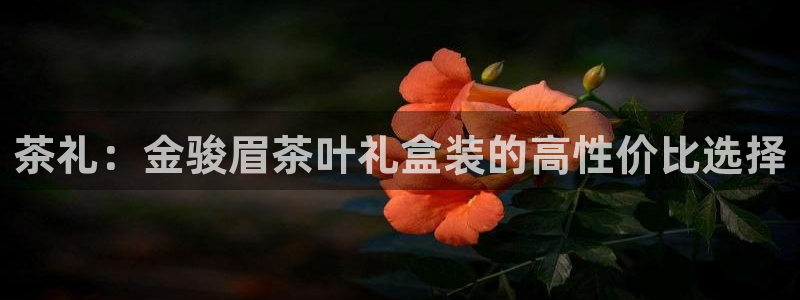 摩登4天7O667