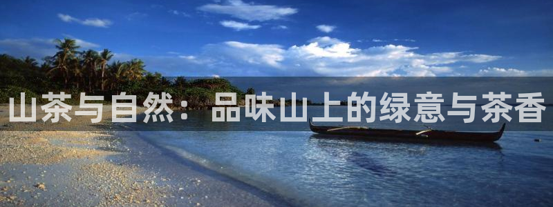 摩登7上7O667