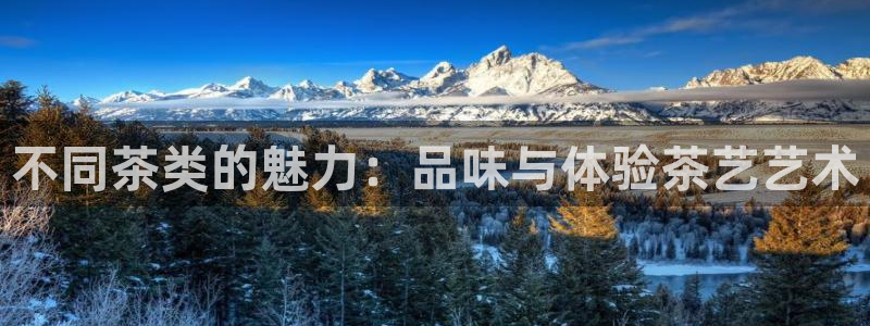 摩登7主管亲333OO