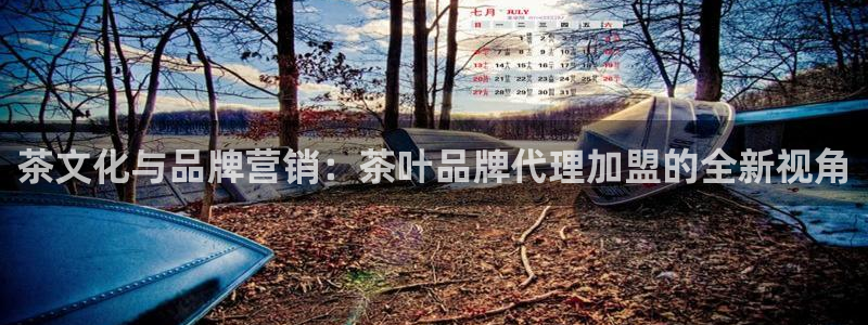 摩登7网站排名