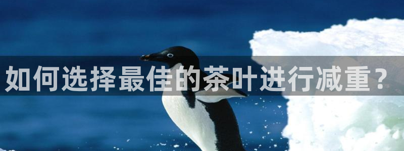 摩登3后7O667