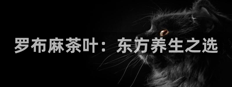 摩登7地7O667