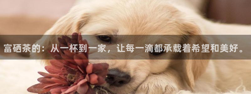 摩登7软件是什么原因