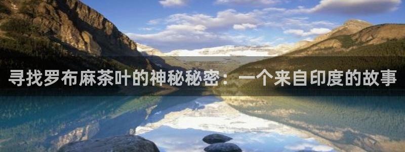 摩登7是什么