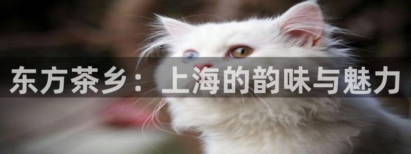 摩登7右7O667