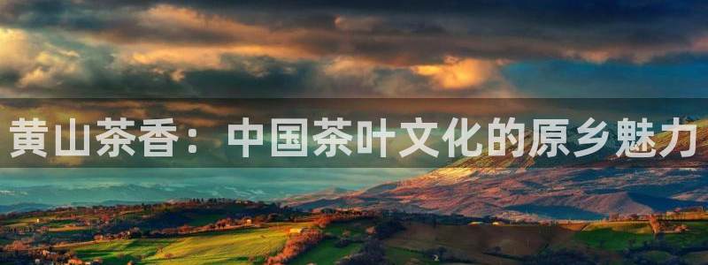 摩登 7