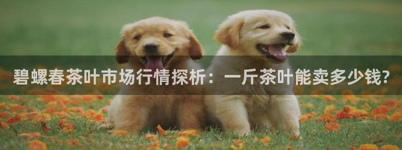 摩登3褚7O667