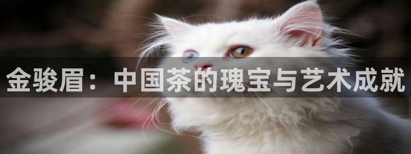 摩登系列摩登7