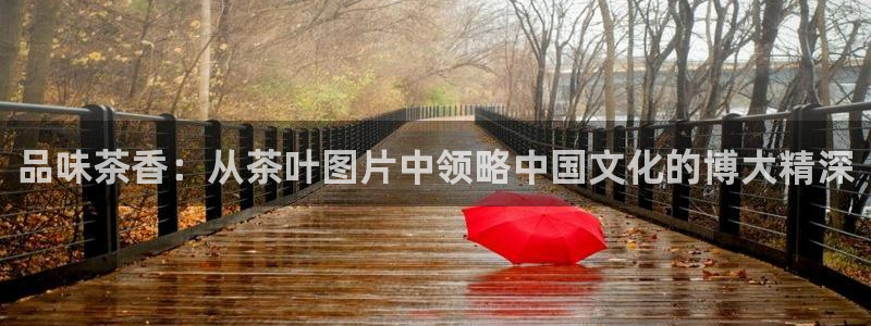 摩登7 1
