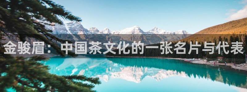摩登7地址