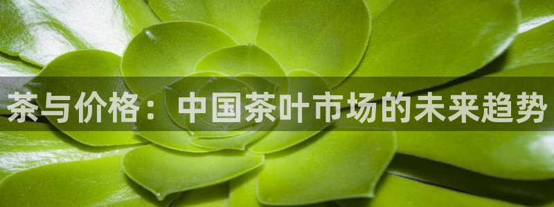 摩登7代理382223