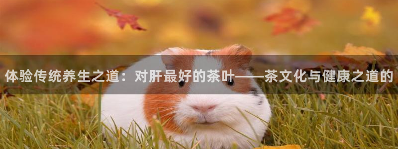 摩登7上